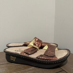 Alegria Karmen Glitz Snake Leather Sandals Size 35 or 5-5.5